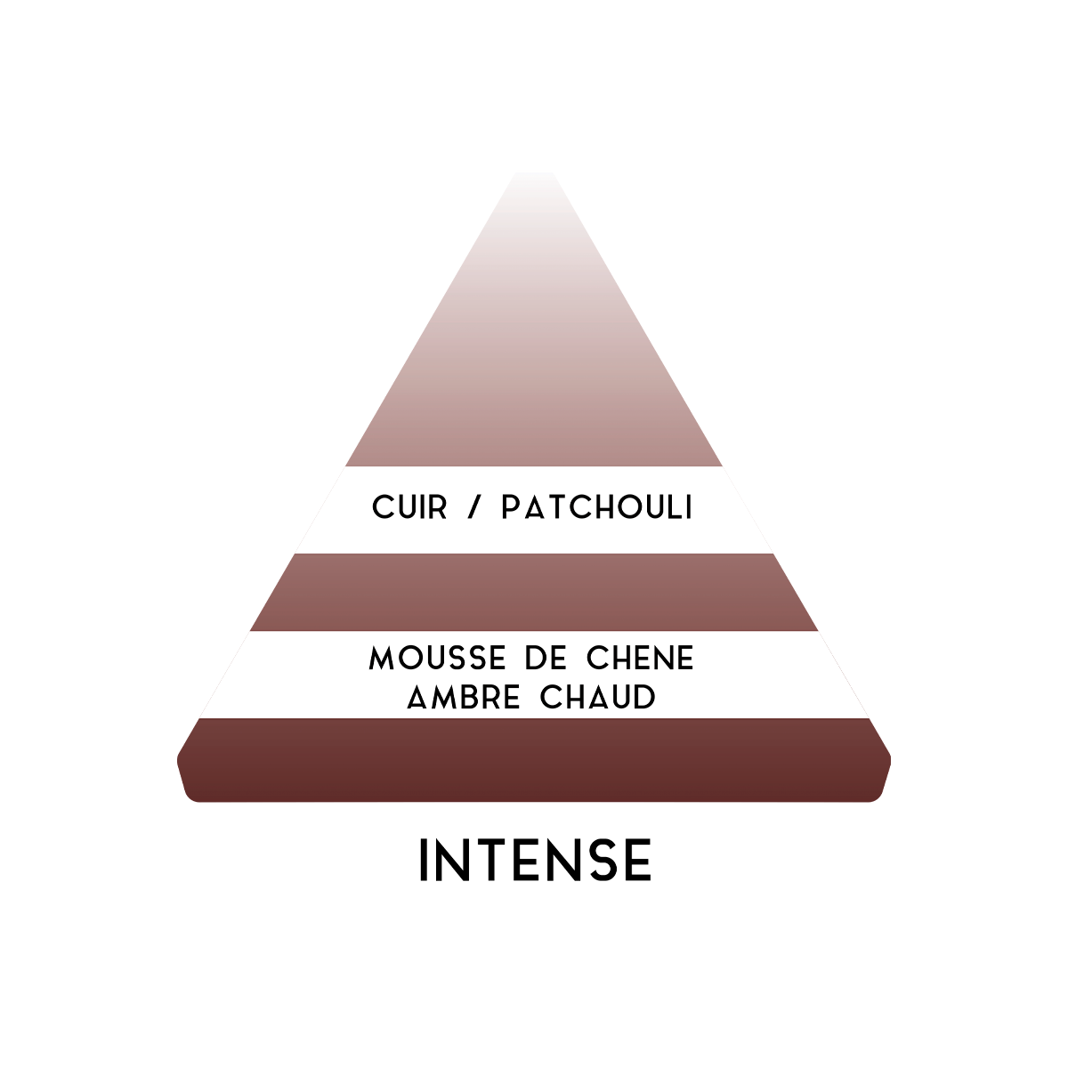 Fragrance pyramid of Antoine Intense fabric softener, highlighting leather, patchouli, oakmoss, and warm amber notes.