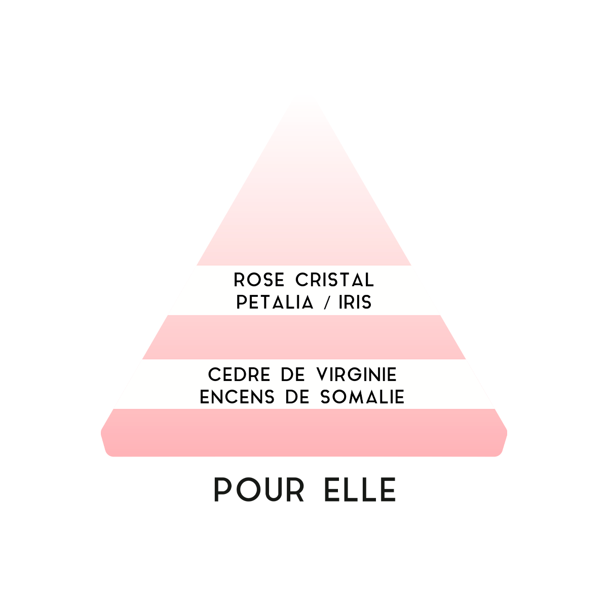 Antoine Pour Elle fragrance pyramid with notes of rose crystal, petalia, iris, virginia cedar, and somalia incense.