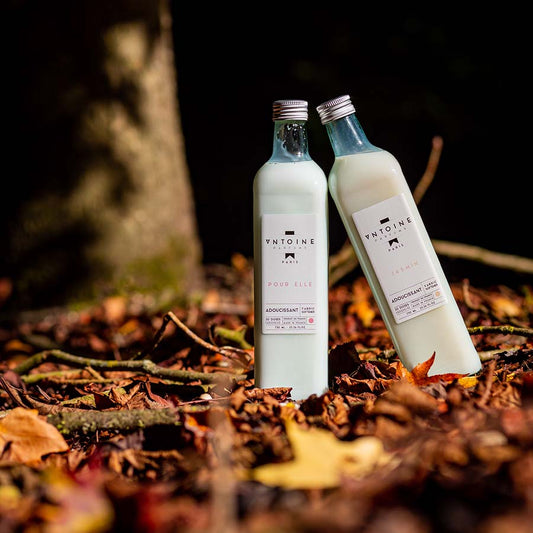 Two bottles of Antoine Parfums fabric softener, Pour Elle and Jasmin, placed among autumn leaves, highlighting their elegant glass packaging. 