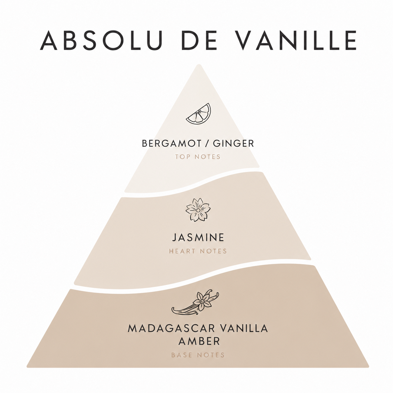 Pyramid diagram of Absolu de Vanille fragrance with notes labeled